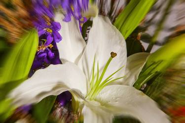 Original Floral Photography by M K Miller III