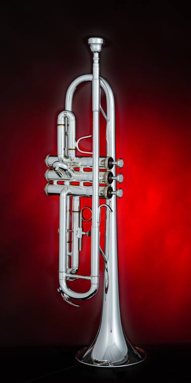 Trumpet Fine Art Photograph 5546.06 - Limited Edition 3 of 20 thumb