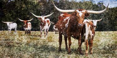 Texas Longhorn Cattle 5314.05 - Limited Edition 3 of 5 thumb