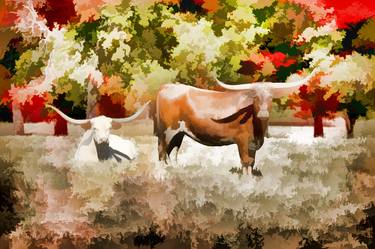 Original Fine Art Cows Photography by M K Miller III