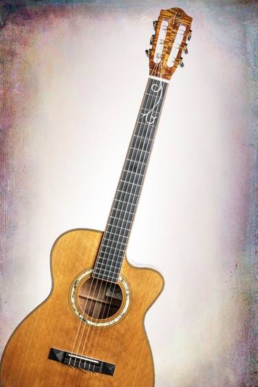 601.1834 Phornix Nylon Guitar Canvas - Limited Edition 2 of 20 thumb