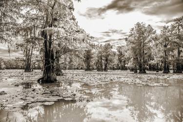 885 .1861 Caddo Lake in Black adn White - Limited Edition 2 of 20 thumb