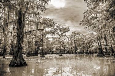 890 .1861 Caddo Lake in Black adn White - Limited Edition 2 of 20 thumb