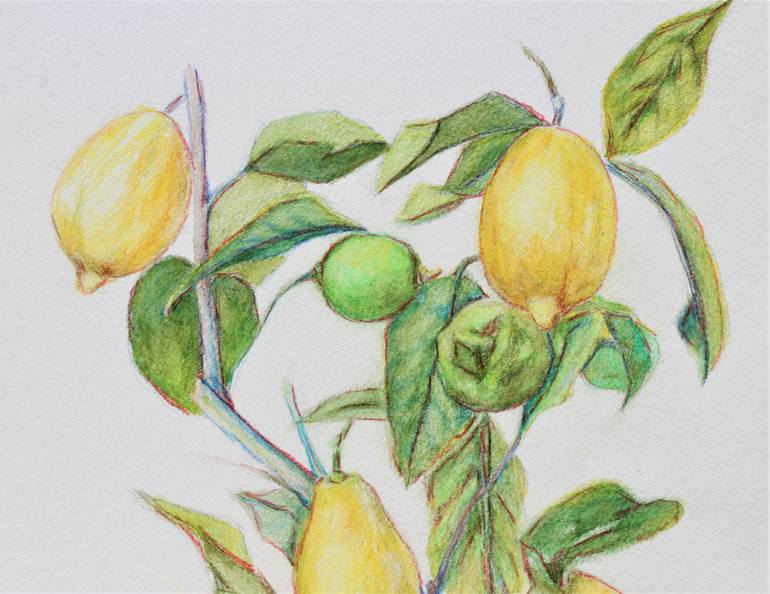 Original Figurative Tree Painting by Afekwo N