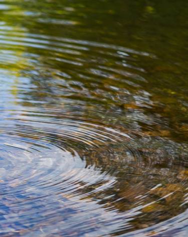 Original Nature Photography by Luigi Lieggi