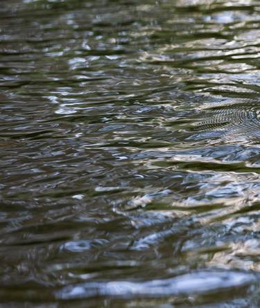 Original Nature Photography by Luigi Lieggi