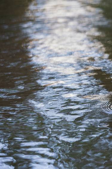 Original Fine Art Nature Photography by Luigi Lieggi