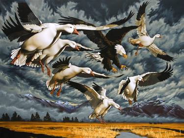 Original Animal Paintings by Philip Slagter