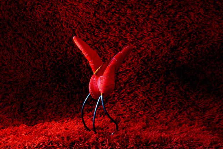 Essay On Violence and Beauty III - Print