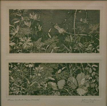 Original Realism Botanic Printmaking by judson newbern