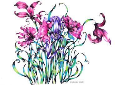 Print of Fine Art Floral Drawings by Victoria Watt