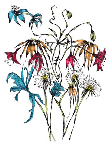 Print of Fine Art Floral Drawings by Victoria Watt