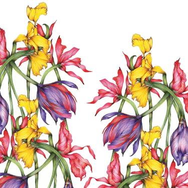 Print of Fine Art Floral Drawings by Victoria Watt