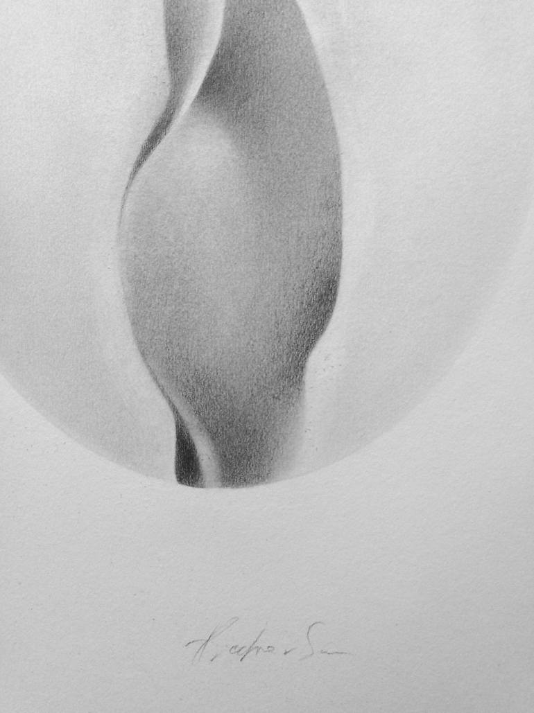 Original Botanic Drawing by Anetta Piechowska