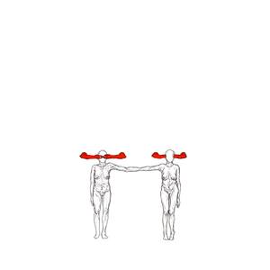 Collection Our Favourite Nudes 