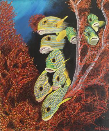 Original Fish Paintings by Murat Isci