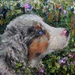 Australian Shepherd Puppy by Rasa Kluonius