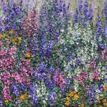 Summer Garden by Rasa Kluonius