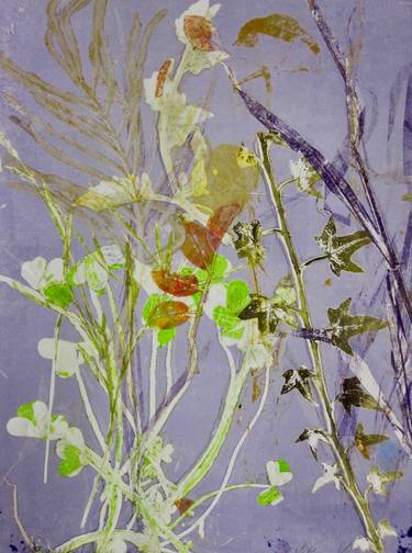 Print of Fine Art Botanic Printmaking by Kathryn Kain