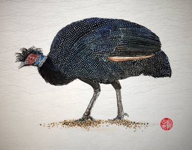 Crested guineafowl thumb