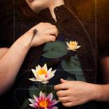 A Resonance of Golden Proportions by Marisa S White