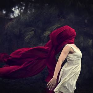 Collection Make a Statement: New Large Works