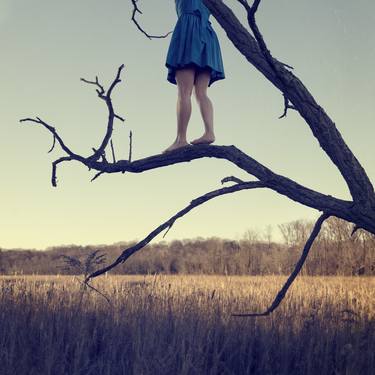 Original Conceptual Tree Photography by Marisa S White