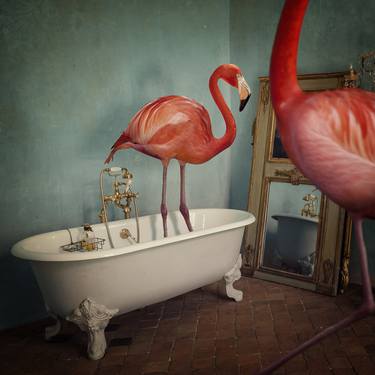 Original Surrealism Animal Photography by Marisa S White