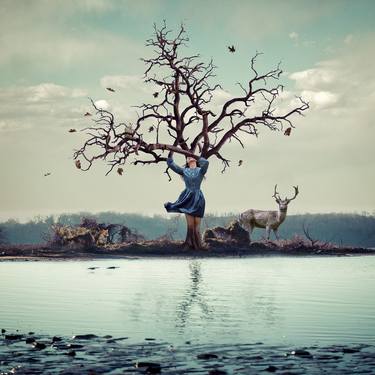 Original Surrealism Nature Photography by Marisa S White