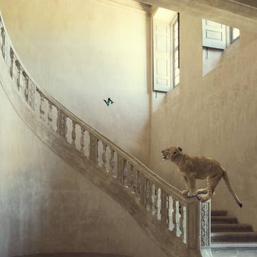 Original Conceptual Animal Photography by Marisa S White