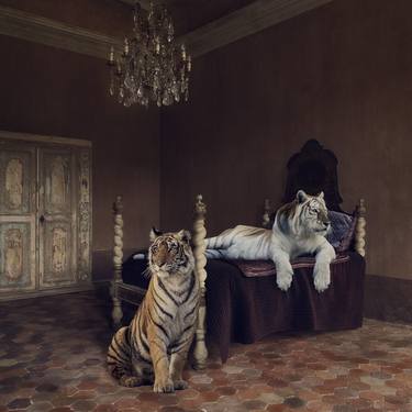Original Conceptual Animal Photography by Marisa S White