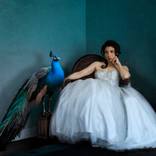 All Dressed Up with Nowhere to Go by Marisa S White