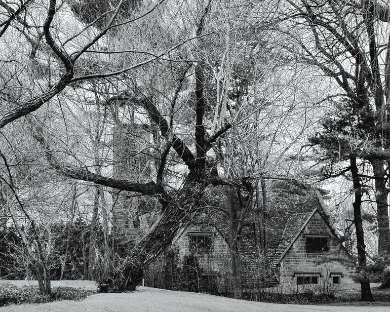 Original Other Landscape Photography by Photonic Phantom