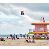Collection Beaches and Seascapes