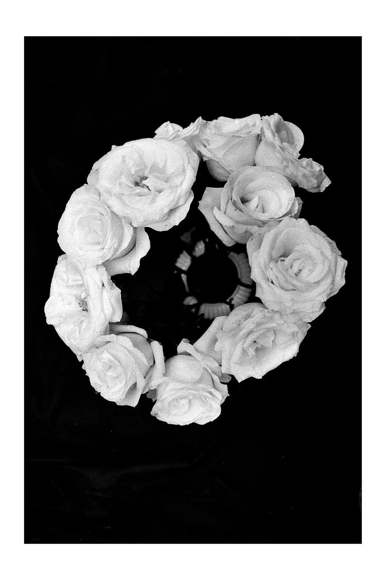 roses background tumblr black and white