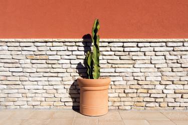 Print of Minimalism Wall Photography by Andrea Rollo