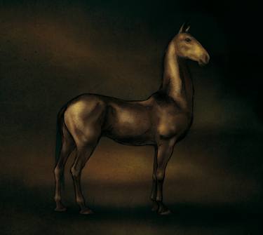 Print of Horse Mixed Media by Finn Campbell-Notman