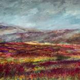 Scottish Heather Landscape by Suzsi Corio