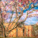 Dulwich Picture Gallery in Spring by Suzsi Corio