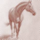 Collection HYPNOTIC