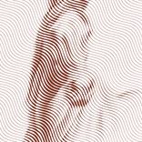 Collection HYPNOTIC