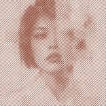 AFTERIMAGE — Between Appearances by Richard Brandão