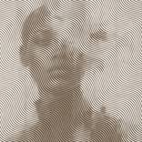 AFTERIMAGE — The Interval by Richard Brandão
