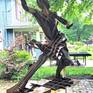 Contemporary, Movement, Dancer, Outdoor, Corten Steel, Rhythm, Garden