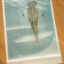 Print at the studio