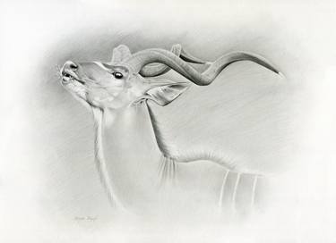 Original Figurative Animal Drawings by Julia Tulub