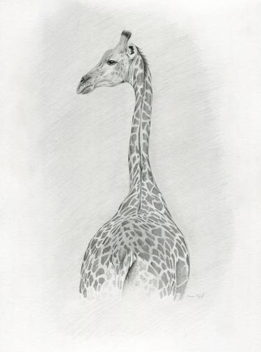 Print of Animal Drawings by Julia Tulub