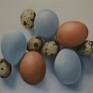 I love painting eggs, their shape, chalky texture, colours and the shadows they cast are beautiful.

I thought these went particularly well together colour wise.