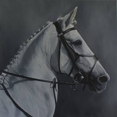 Original Horse Paintings by Catherine Henchie