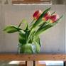 Red & Yellow Tulips Studio